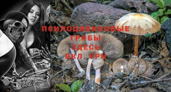 молекула духа Алексеевка