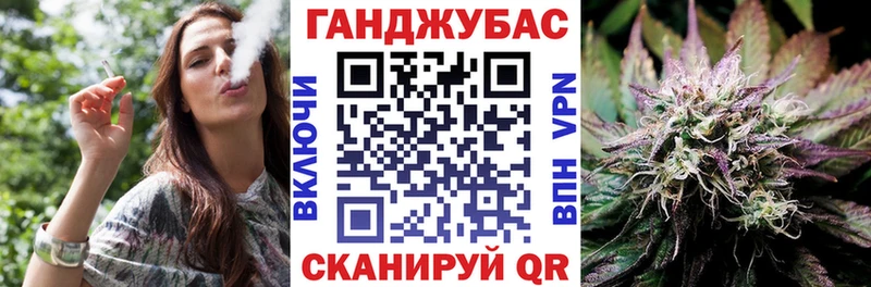 где купить наркоту  Закаменск  мега зеркало  Конопля гибрид 
